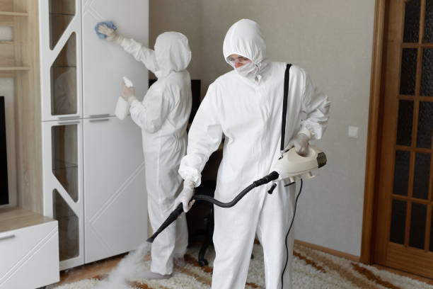 Best Toxic Mold Removal  in Choudrant, LA